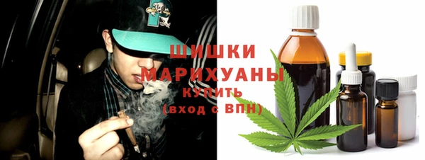 МДПВ Заводоуковск