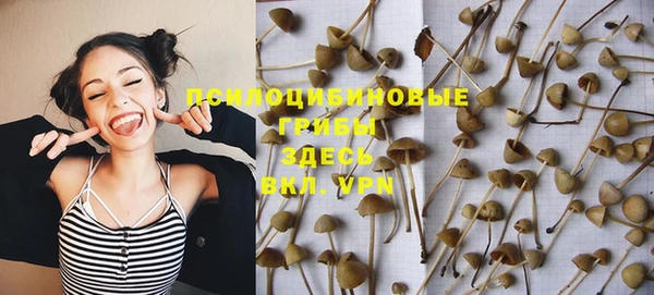 амф Заволжье