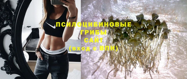 МДПВ Инта