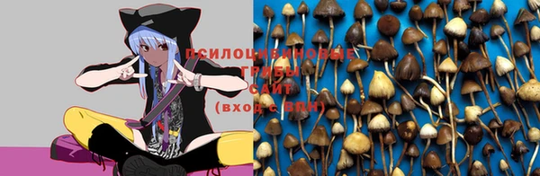 МДПВ Заводоуковск