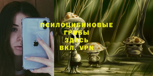 амф Заволжье
